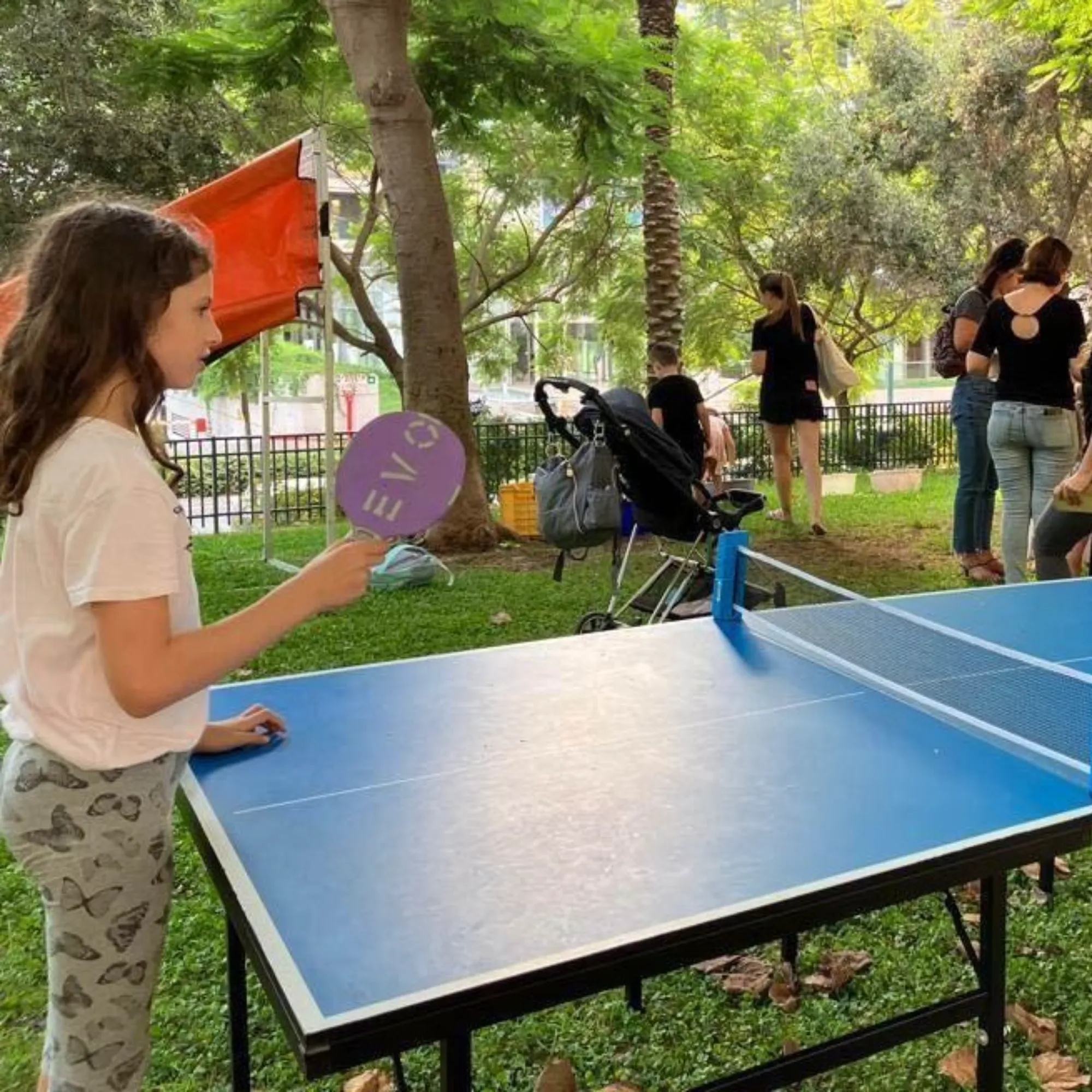 שולחן פינג פונג